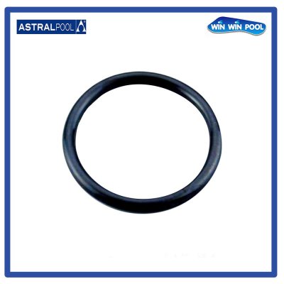 LIGHT O RING