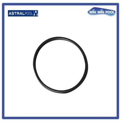 4405010378 O' RING D 226X6 for MAXIM Pump อะไหล่หมายเลข 20