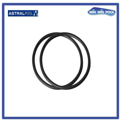4405010378 O' RING D 226X6 for MAXIM Pump อะไหล่หมายเลข 20