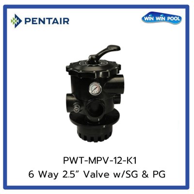 มัลติพร็อตวาล์ว 6 Way 2.5" Valve (Blk) w/ union,SG & PG