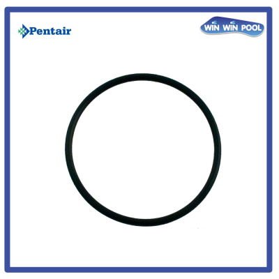 โอริงเสื้อปั๊ม Ultraflow Booster Pump