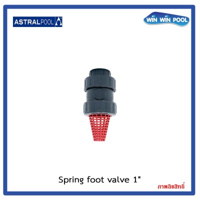 สปริงฟุตวาล์ว/Astral pool/Cepex/Spring Foot valve/UPVC 1"