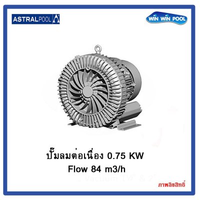 Air blower ปั๊มลมต่อเนื่อง 0.75 kW Flow 84 m3/h (1.0 HP) 230 V