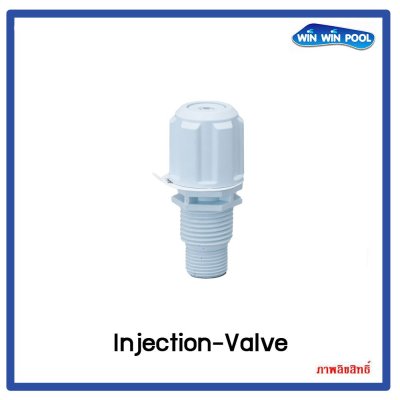 Injection Valve Chemicals dosing pump PVDF-T Seal FPM ปั๊มเคมี สำหรับสาย 4x6 mm.