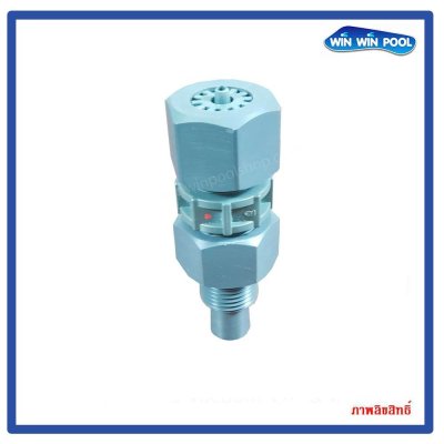 Injection Valve PVC hose 4x6mm 1/2"หัวฉีดสำหรับจ่ายสารเคมีสำหรับปั้มเคมี เกลียว 4หุนสำหรับสาย 4x6 mm ใช้กับปั้มเคมีได้ทุกยี่ห้อ