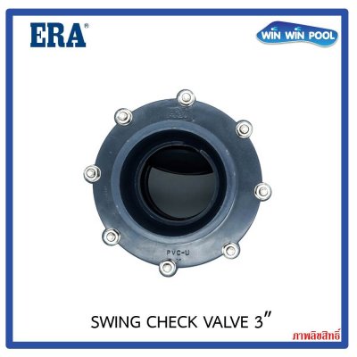 ERA Swing Check Valve 3"