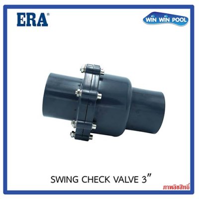ERA Swing Check Valve 3"