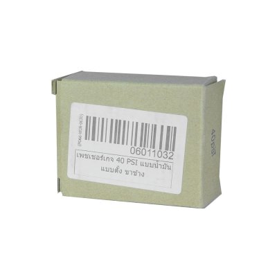 Pressure Gauge Maximum 40 PSI Indication, Stainless Steel Casing