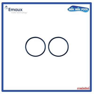 Emaux SS pump parts