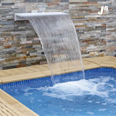 WFS512R1 Sheer 1 ft. Length, 1” Clear Lip  Rear Mount Type Hayward