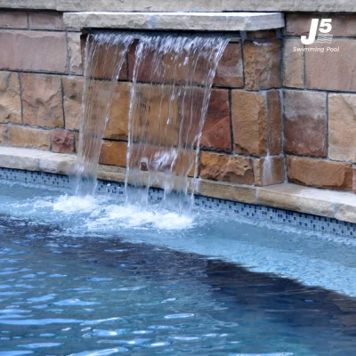 WFS512R1 Sheer 1 ft. Length, 1” Clear Lip  Rear Mount Type Hayward