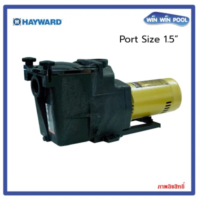 HAYWARD SUPER PUMP