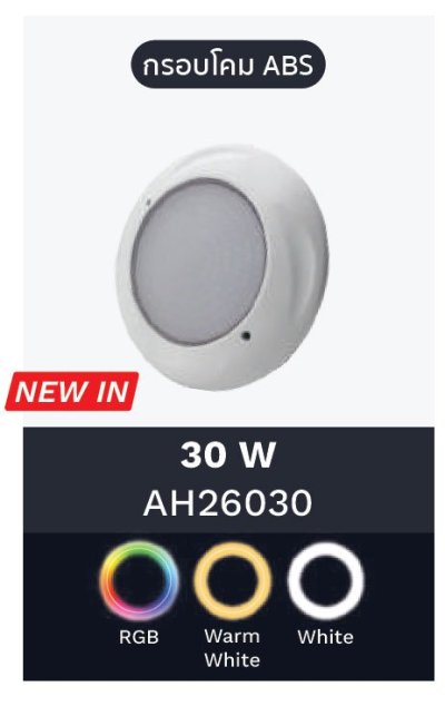 ไฟ LED AH26030 30W/12V/AC/4 M Cable with 2 Cores/ Single Color- White, ABS WALL Mounte