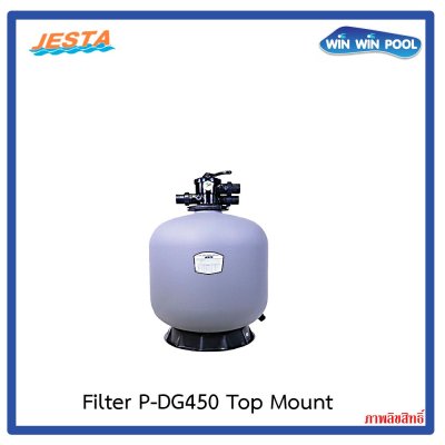 P-DG450 Sand filter