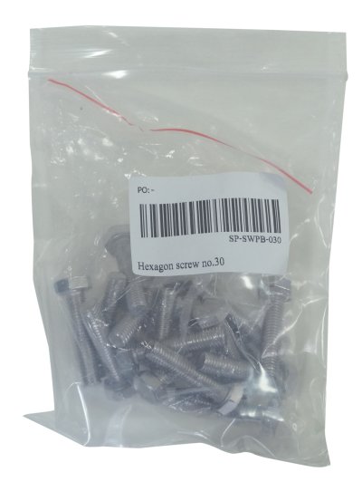 Hexagon screw no.30  for SWPB Pump Laswim
