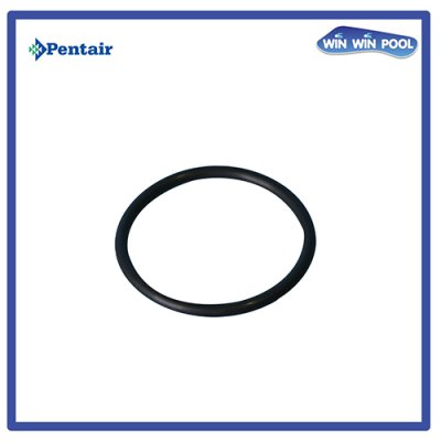 ซีลฝาครอบใบพัด [Diffuser Gasket] for WhisperFlo XF