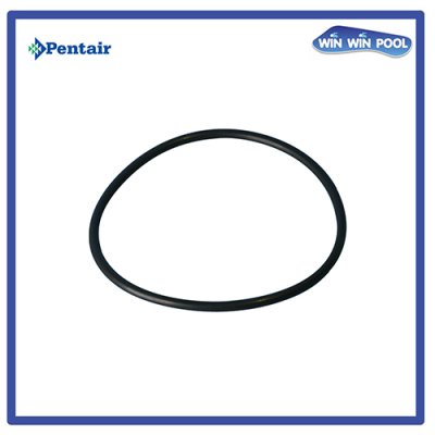 โอริงฝาปั๊ม [Strainer Cover O-Ring] for WhisperFlo XF