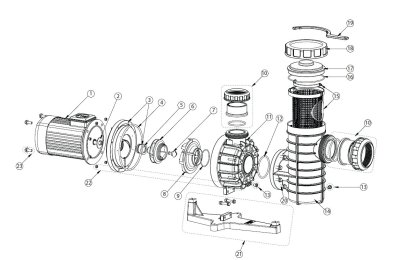 โอริงซีลเพลทปั๊ม Seal Plate O-Ring