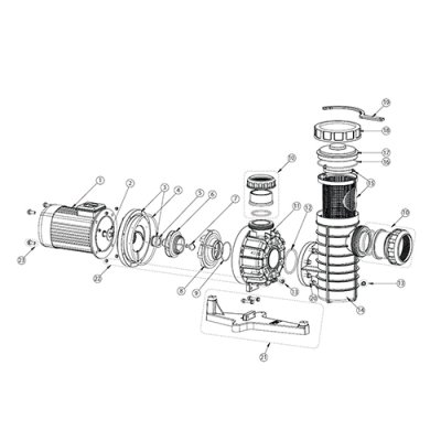 โอริงซีลเพลทปั๊ม Seal Plate O-Ring