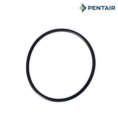 โอริงฝาปั๊ม [Strainer Cover O-Ring] for WhisperFlo