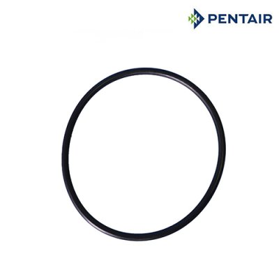 โอริงฝาปั๊ม [Strainer Cover O-Ring] for WhisperFlo