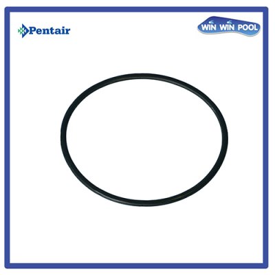 โอริงฝาปั๊ม [Strainer Cover O-Ring] for SuperFlo