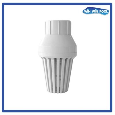 Spring Inline Foot Valve 2"