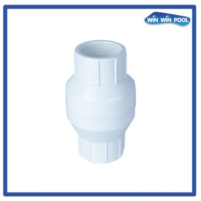 Spring Inline Check 2"