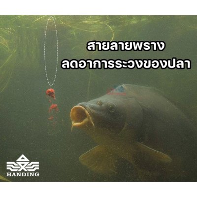 สสายเอ็นตัว Top ที่ดีที่สุดค่าย Handing เกิดมาเพื่อคันชิงหลิวโดยเฉพาะ (50 M)