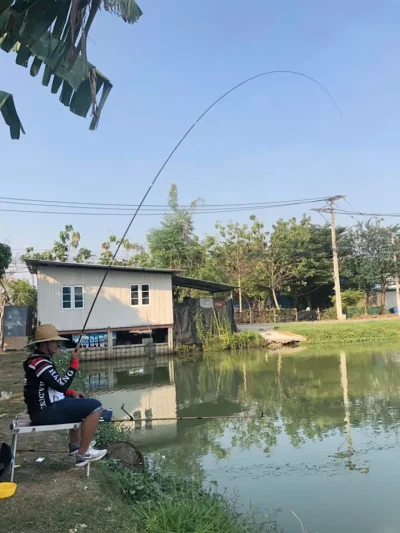 คันชิงหลิว Handing Black Bream