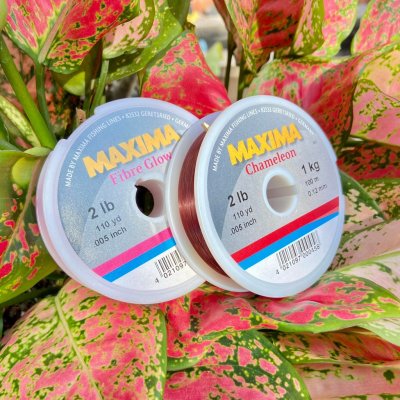 สายเอ็น Maxima  The Line Company