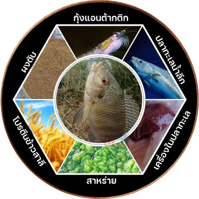 เหยื่อตกปลานิล เลากุย Old Ghost กลิ่นหอมนวลเหมาะสำหรับปลานิล รหัส A2