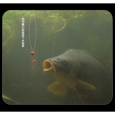 สายเอ็น Handing สีสาหร่าย FluoroCarbon