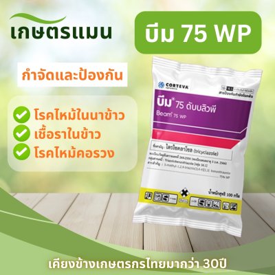 บีม 75 WP ขนาด 100g (ไตรไซคลาโซล)
