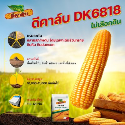 ดีคาล์บ 6818 (DK 6818) 3.5 หุน 10kg