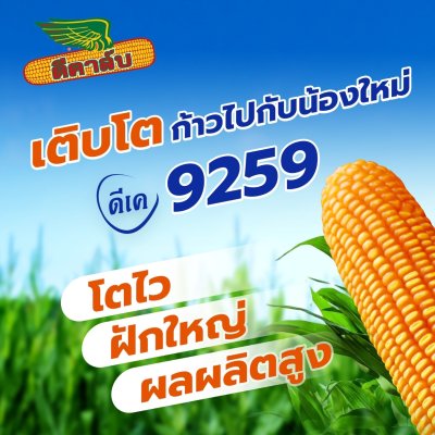 ดีคาล์บ 9259 (DK 9259) 3.5 หุน 10kg