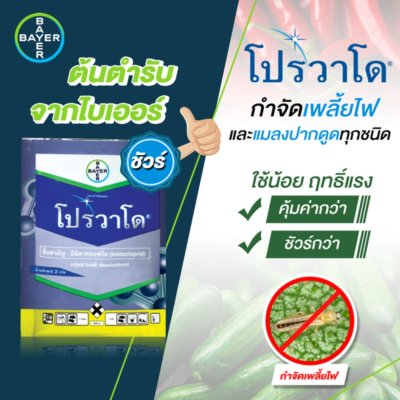 โปรวาโด 2 กรัม จาก Bayer อิมิดาโคลพริด 70% WG 1 กล่องมี 25 ซอง