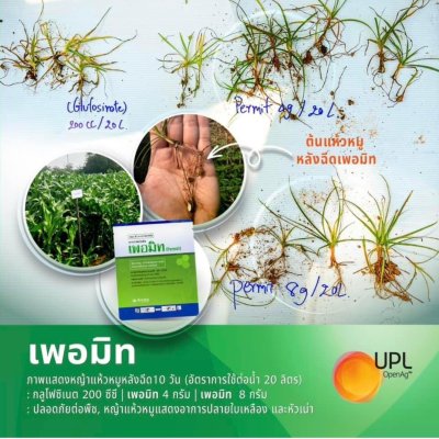 เพอมิท 4g ฮาโลซัลฟูรอน-เมทิล 75% WG 1 กล่องมี 4gx6 ซอง