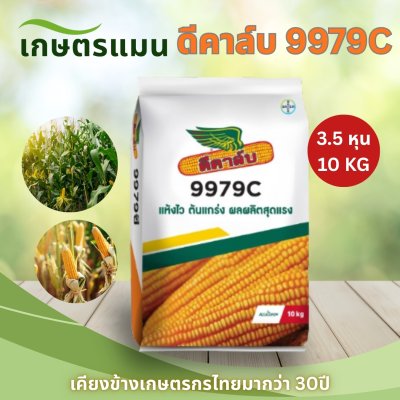 เมล็ดพันธุ์ข้าวโพดดีคาล์บ 9979C 3หุน, 3.5 หุน 10 กิโลกรัม