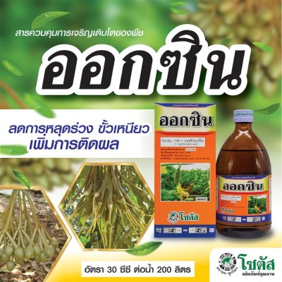 ออกซิน สารเอ็น เอ เอ 4.5% W/V SL ขนาด 500 ซีซี สารควบคุมการเจริญเติบโตของพืช เปลี่ยนเพศดอกเงาะ เร่งการเกิดราก