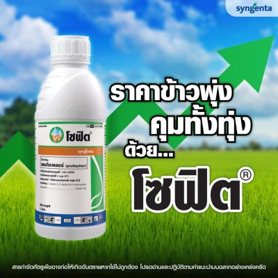 โซฟิต เพรทิลาคลอร์ (pretilachlor) 1 ลิตร