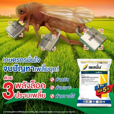 เพลนั่ม ไพมีโทรซีน (Pymetrozine) 50WG 1 กล่อง 20 ซอง