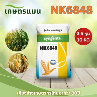ข้าวโพดเลี้ยงสัตว์ เอ็นเค 6848 (NK6848) 3.5 หุน 10 กก สู้แล้ง ผลผลิตสูง