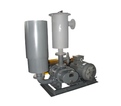 Vacuum Roots Blower
