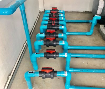 คุณกาย พุทธมณฑล สาย 2