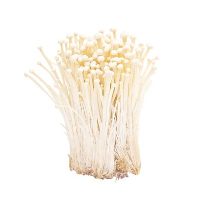 INOKE MUSHROOM