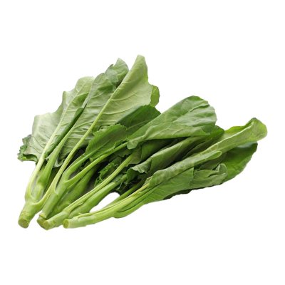 CHINESE KALE (YOUNG)