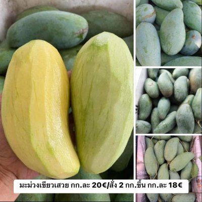 Mango Green Sweet