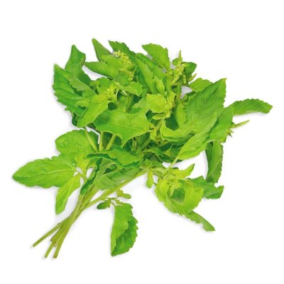 HOLY BASIL100G