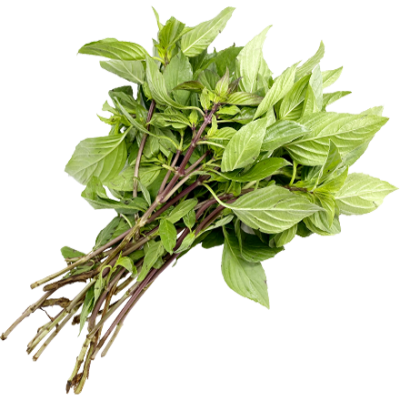 SWEET BASIL